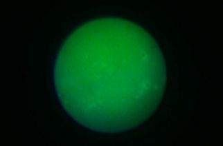 Image 5: Image showing solar surface detail visible using the DIY chemically enhanced CaK eyepiece – detail that was not visible using a standard eyepiece.