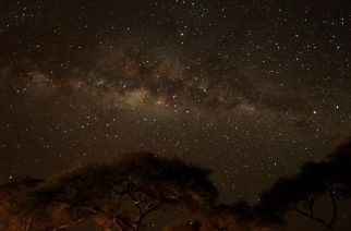 Tanzania Astronomy Trip